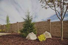 imagen de muro hecho de piedra con arboles y rocas com adorno en el interior de un patio